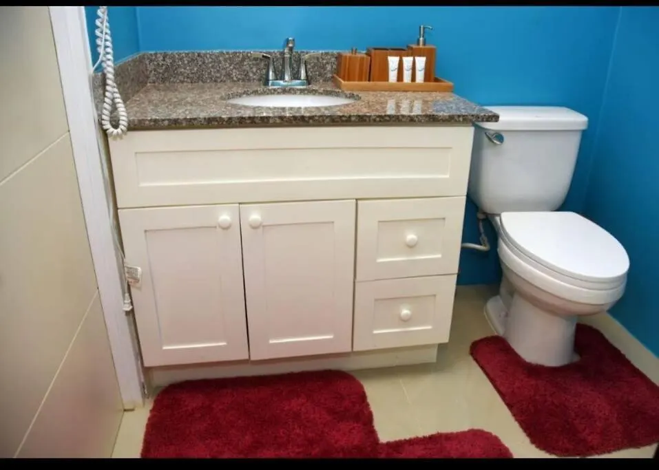 Vakantiehuis Irie Smart Villa 2 Falmouth Jamaica